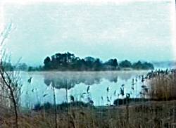 Example of framing a lake with reeds.