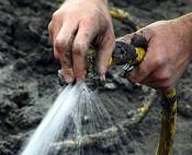 Close-up of hands being washed under hose.