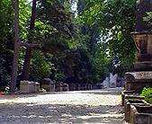 The Roman burial plot at les Alyscamps.