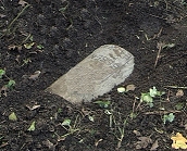 The bomb in the garden.