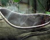 An empty shoe with smoke emerging.