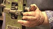 Still from 'Guernsey Coppersmith'.