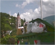 Rubbish