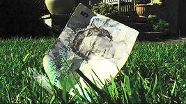 Money