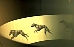 Still from 'Flicker'.