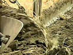 Still from 'Turning the Turf'.