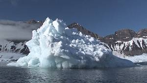 Still from 'A Vanishing Wilderness'.