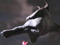 Still from 'Red and the Wolf'.