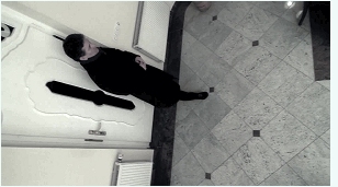 Still from 'Mindbreak'. 